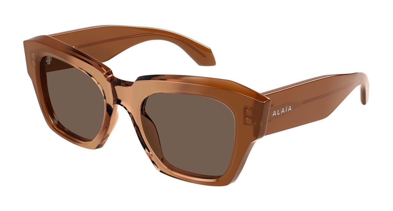 002 - Brown - Brown