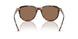 613773 - Tortoise - Dark Brown