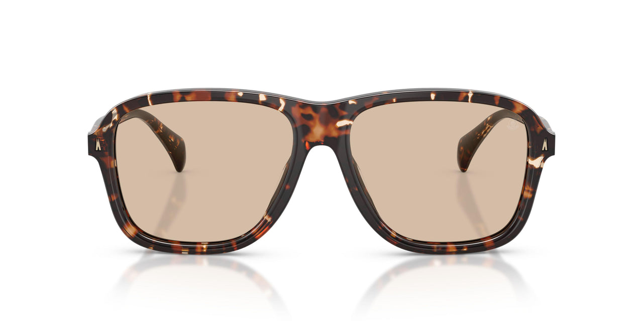 304893 - Tortoise - Gradient Brown