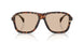 304893 - Tortoise - Gradient Brown