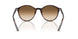 902/51 - Tortoise - Clear Gradient Brown