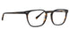 BKT - Black/Tortoise [BKT]