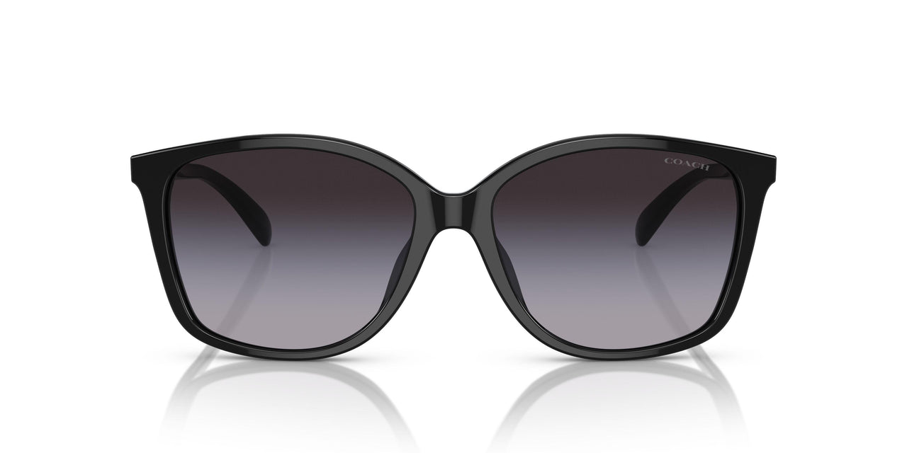 50028G - Black - Grey Gradient