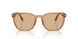 604873 - Brown - Light Brown