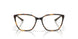 801304 - Tortoise