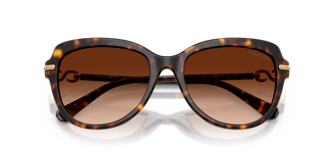 100274 - Tortoise - Gradient Brown