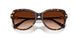 100274 - Tortoise - Gradient Brown