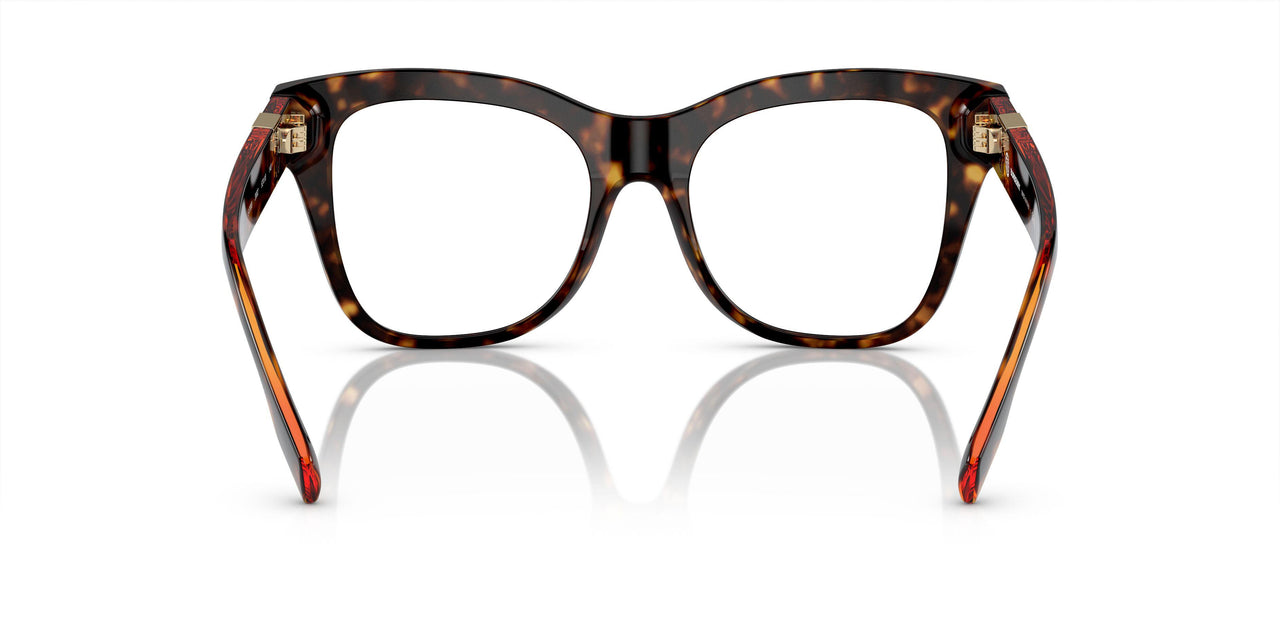 3002 - Brown