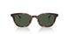 30389A - Brown - Dark Green