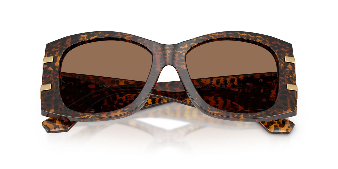 347073 - Brown - Dark Brown