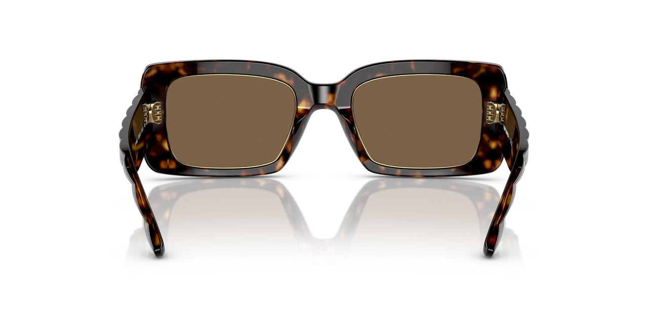 172873 - Tortoise - Dark Brown