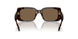 172873 - Tortoise - Dark Brown