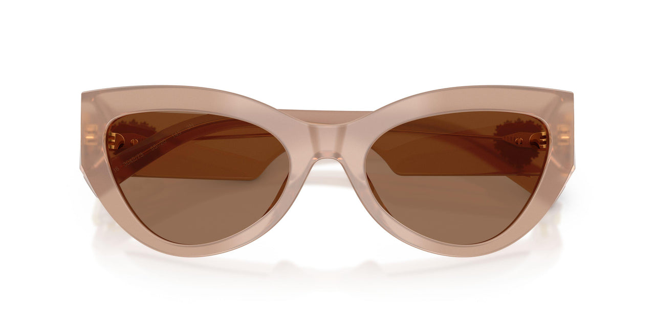 304273 - Brown - Dark Brown