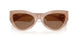 304273 - Brown - Dark Brown
