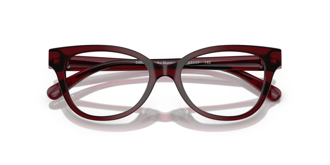 5393 - Red