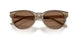 505173 - Brown - Dark Brown