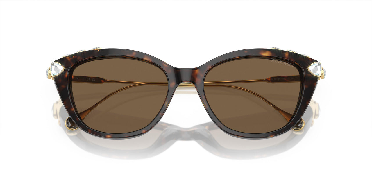 100273 - Tortoise - Dark Brown