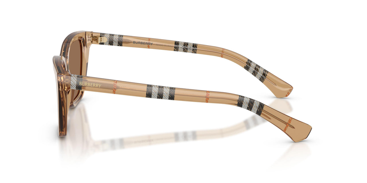 416473 - Beige - Dark Brown