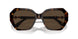1002M4 - Brown - Photo Brown