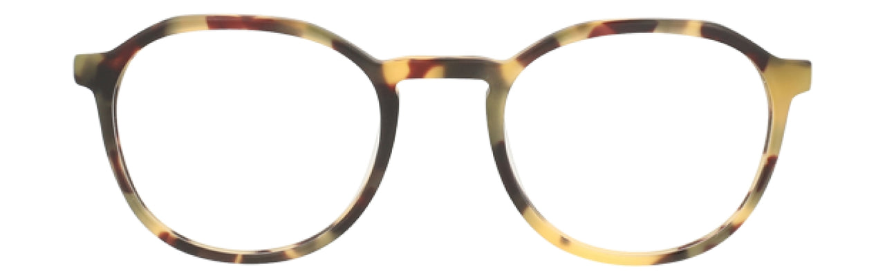 MTR - Matte Tortoise