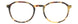 MTR - Matte Tortoise