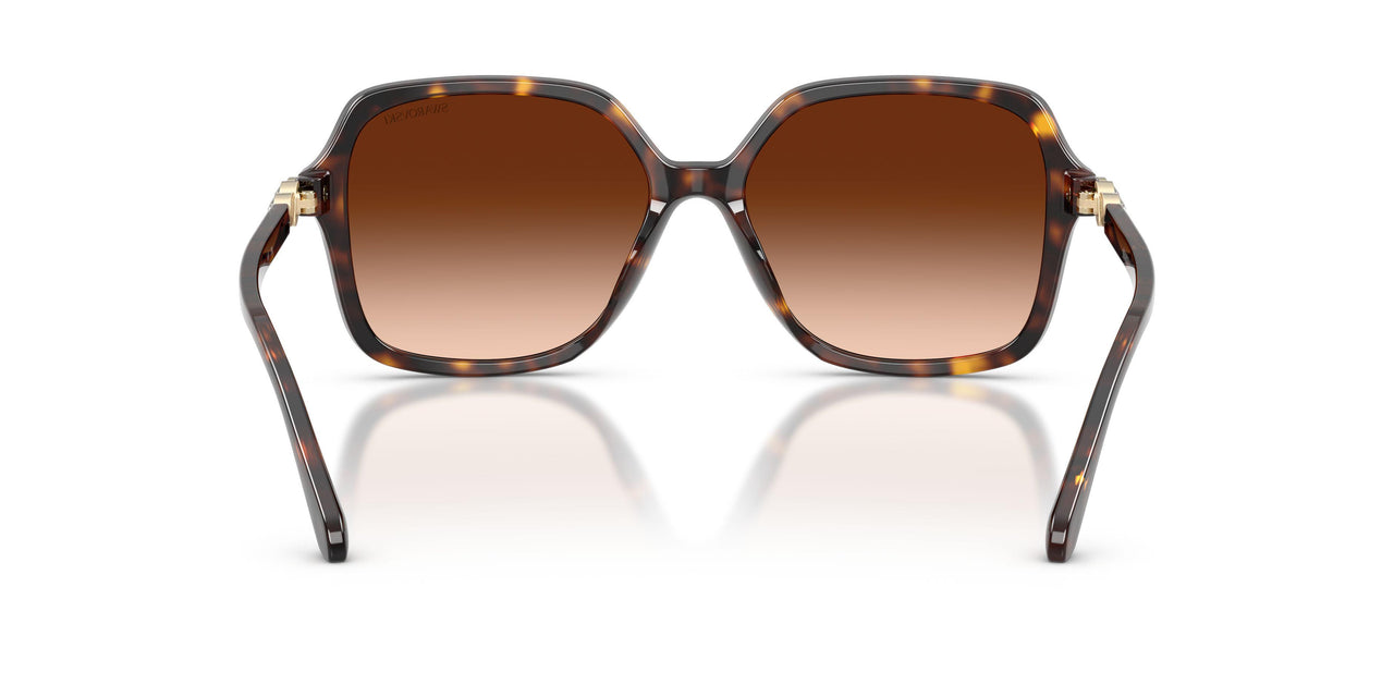 100274 - Tortoise - Gradient Brown