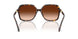 100274 - Tortoise - Gradient Brown