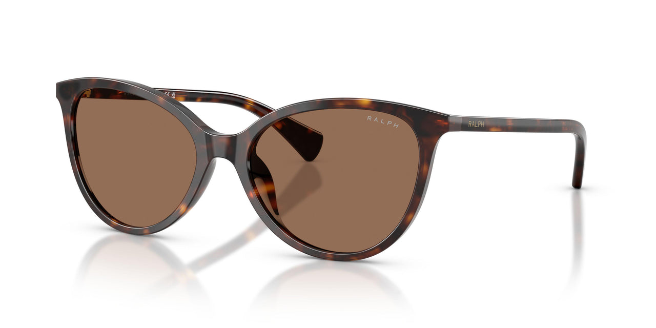 500373 - Brown - Brown
