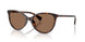 500373 - Brown - Brown