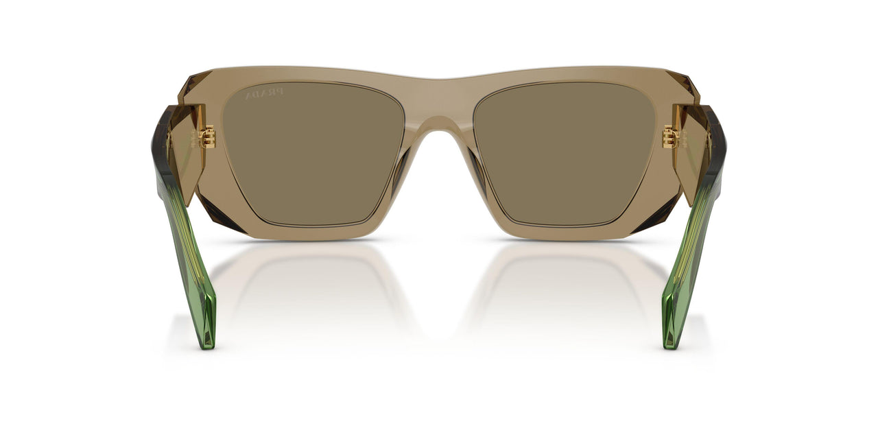 29E90F - Brown - Light Brown