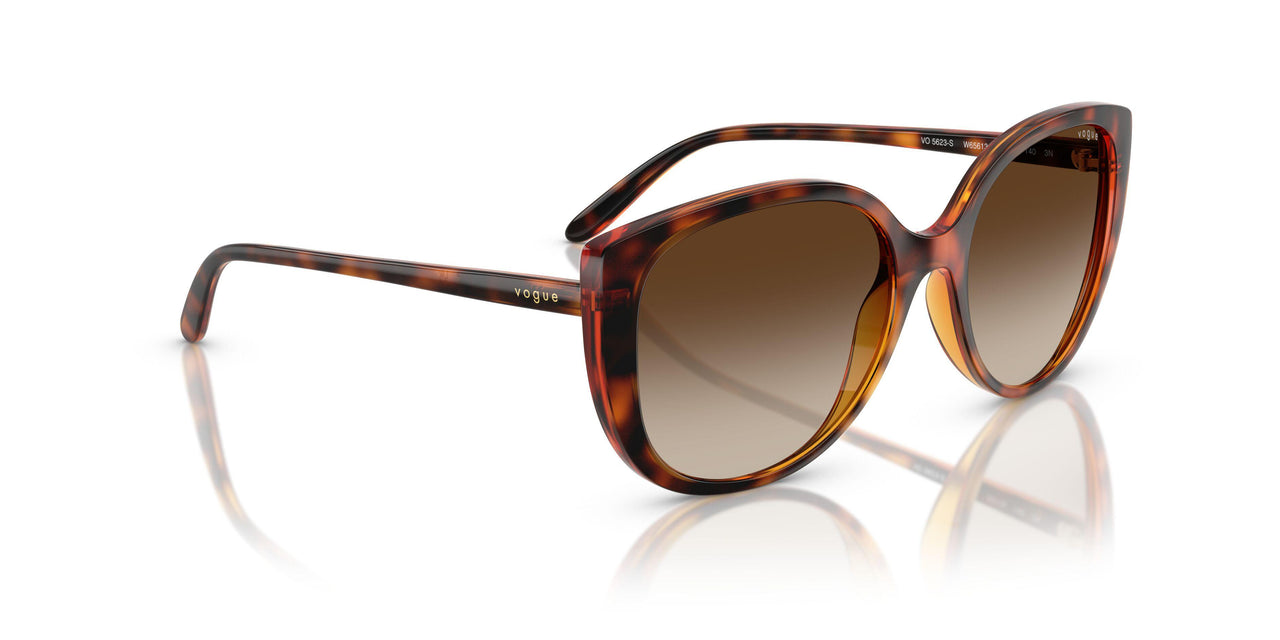 W65613 - Brown - Gradient Brown