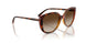 W65613 - Brown - Gradient Brown