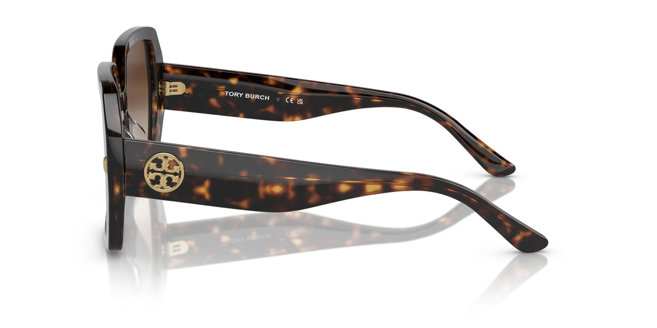 172813 - Tortoise - Brown Gradient