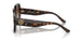 172813 - Tortoise - Brown Gradient