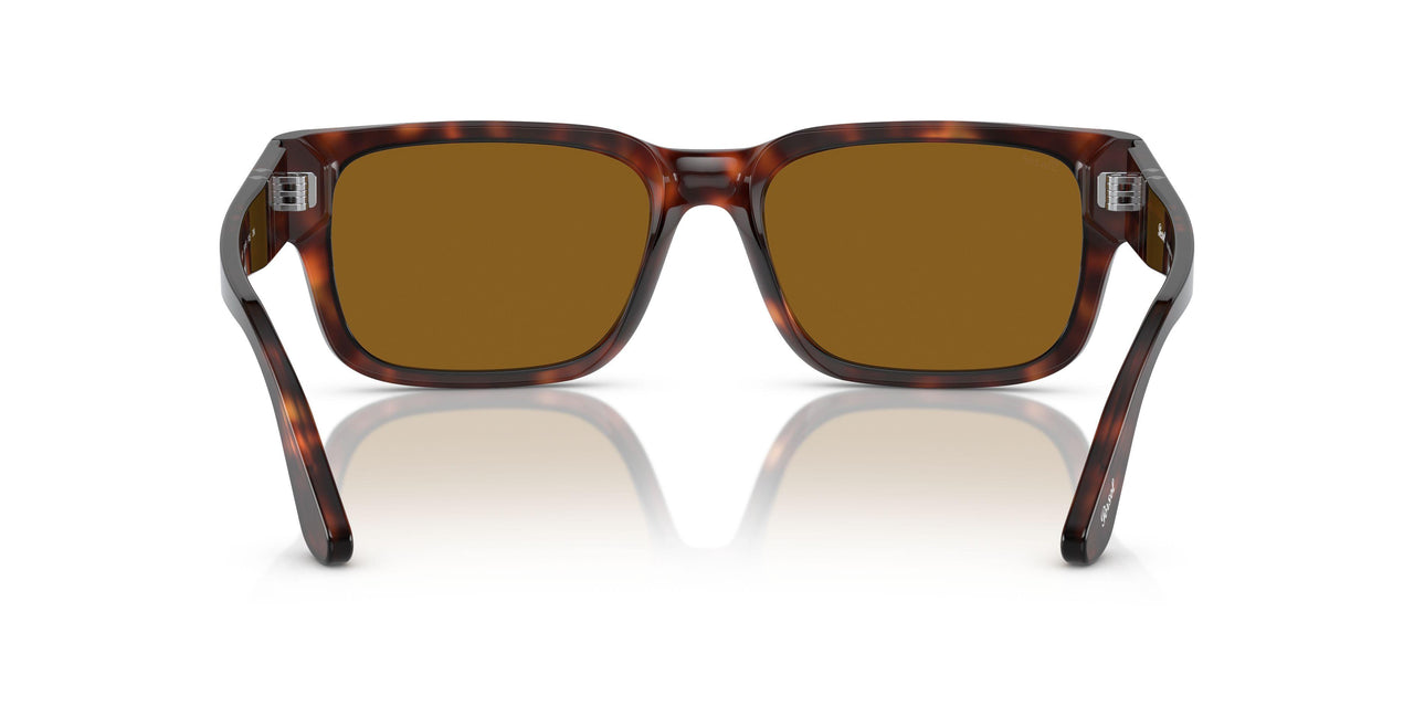 24/33 - Tortoise - Brown