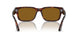 24/33 - Tortoise - Brown