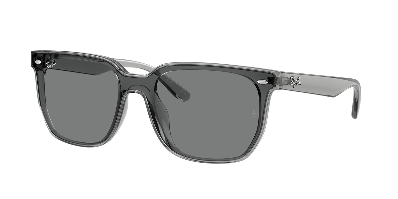 Ray-Ban 4466D Sunglasses
