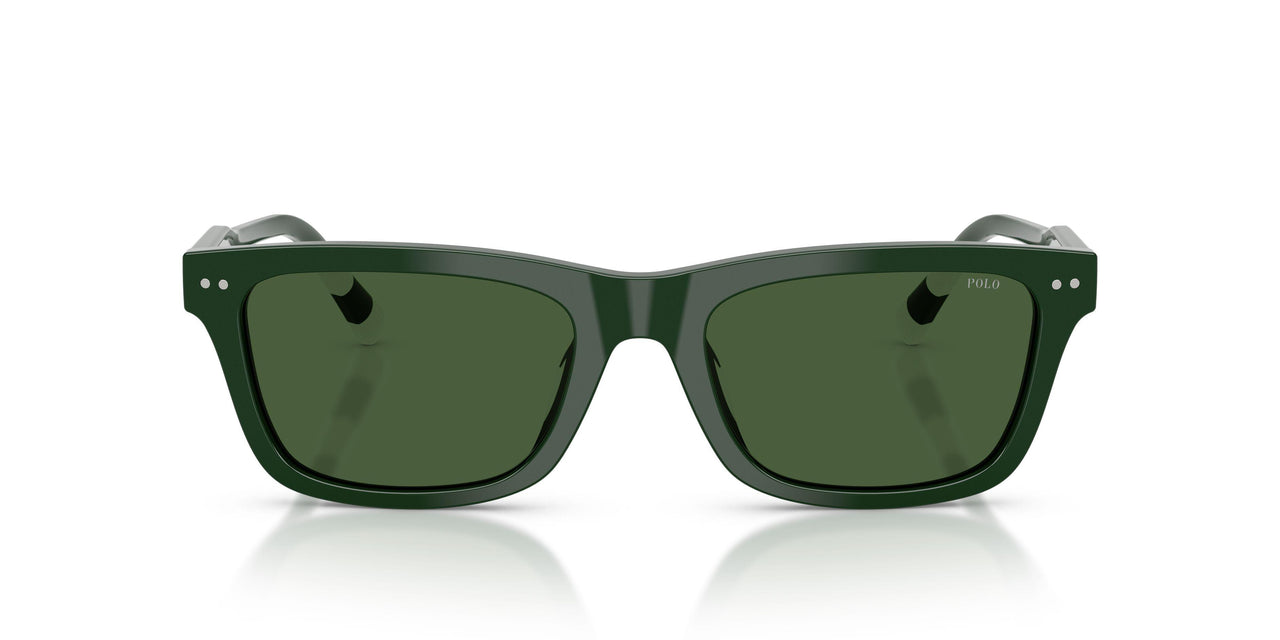631671 - Green - Dark Green