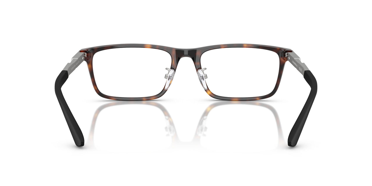 5026 - Tortoise