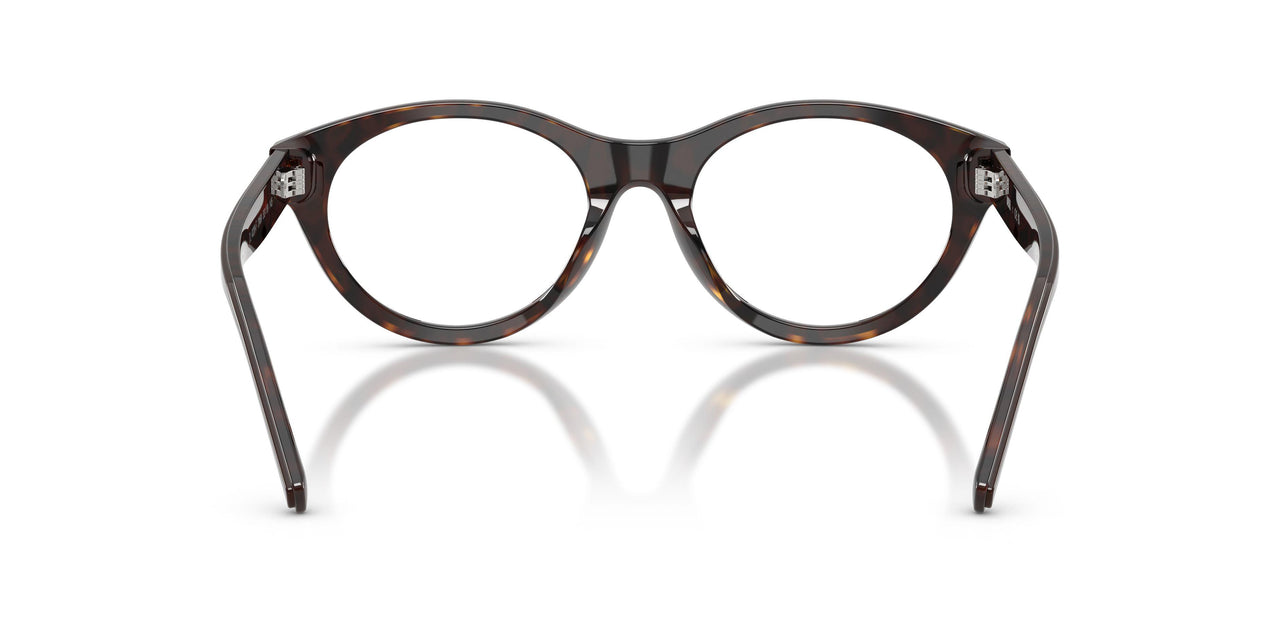 2069 - Brown