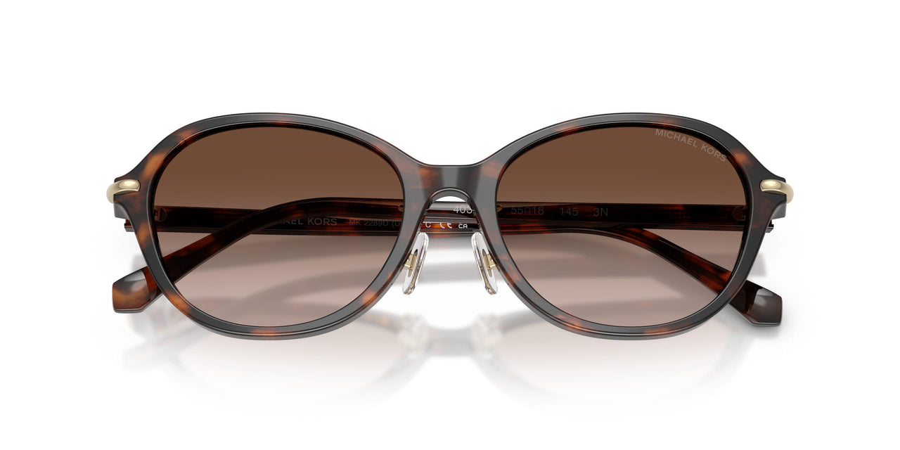 403913 - Brown - Brown Gradient