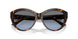 50028F - Tortoise - Gradient Blue