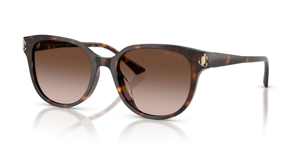 500213 - Tortoise - Gradient Brown
