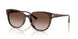 500213 - Tortoise - Gradient Brown