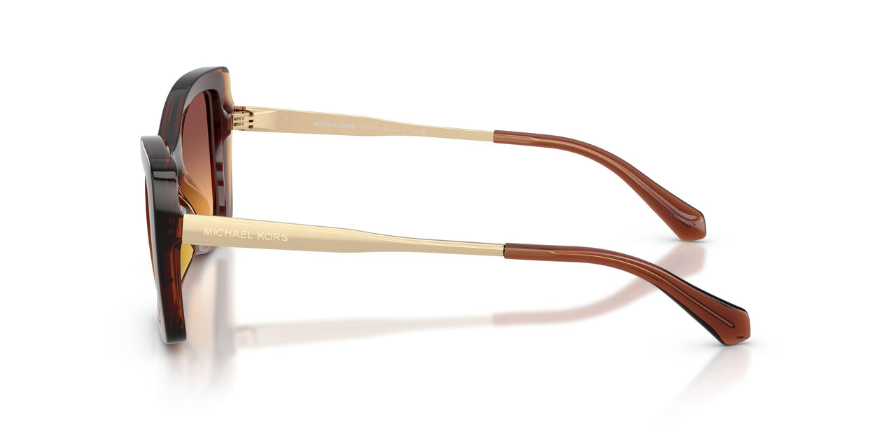 311378 - Brown - Brown Gradient