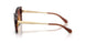 311378 - Brown - Brown Gradient