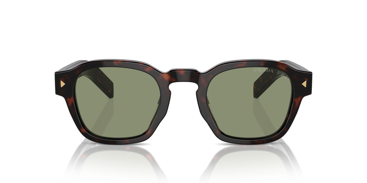 17N20G - Havana - Polarized Green