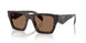 17N06B - Tortoise - Dark Brown