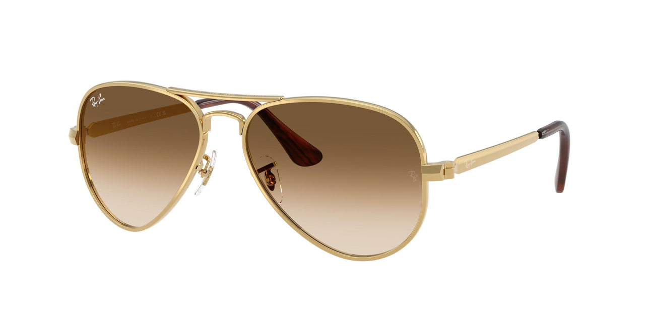 Ray-Ban Aviator Max 3925 Sunglasses
