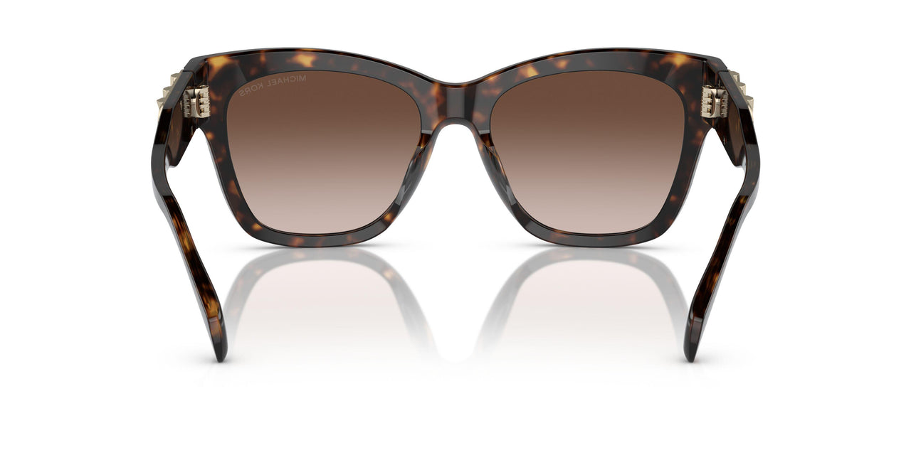 300613 - Tortoise - Brown Gradient